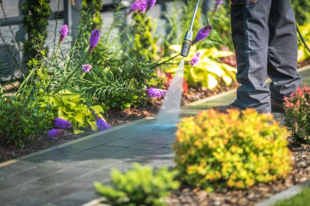 Professional Pressure Washing in Greenfield, CA