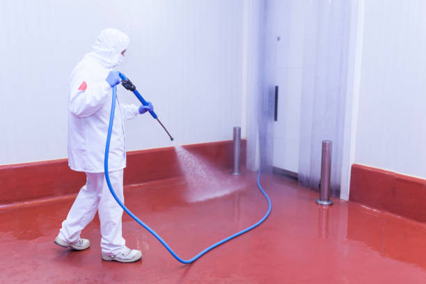 Best Graffiti Removal  in Greenfield, CA